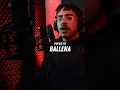 Download Lagu BALLENA - Vulgo Fk | COVER (Gael) #trap #trapper #ballena #vulgofk