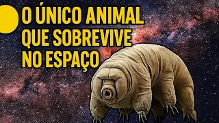 O ANIMAL QUE CONSEGUE SOBREVIVER NO ESPAÇO!