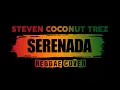 Lagu Steven And Coconut Treez Serenada Reggae Cover Kopikustik Live Record