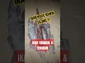 Download Lagu IKAN HASIL KAWIN SILANG//IKAN TONGKOL \u0026 TENGGIRI