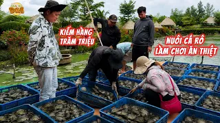 Tận dụng mặt nước nuôi cá rô kiếm hàng trăm triệu, Khương Dừa định hùng vốn thử một phen?