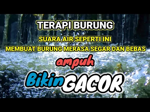 Download MP3 Suara Air Gemericik Untuk Semua Burung Macet Bunyi - Suara Air Terapi Burung