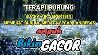 suara air gemericik untuk semua burung macet bunyi suara air terapi burung