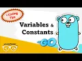 Variables and Constants in Go Golang Go Programming Basics