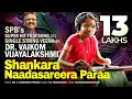 Download Lagu Sankara Nadasareera  | Spb |  voikom vijayalakshmi | Single String veena