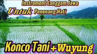 instroment langgam campursari konco tani wuyung sangat cocok buat cek sound 
