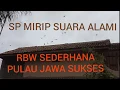 Download Lagu Suara PANGGIL Walet mirip ASLI RESPON | RBW JAWA