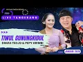 Download Lagu *** TIWUL GUNUNGKIDUL | DIMAS TEDJO \u0026 PEPY ARIMBI | FS AUDIO ***
