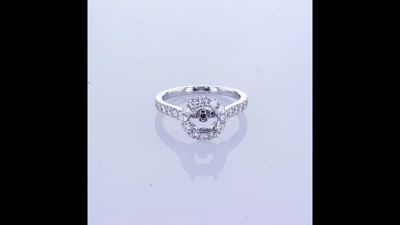 Diamond Shopping 101- Diamond Buying Guide on how to buy diamonds online.