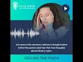 Episode 29 Feeling the Pinch