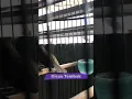 Download Lagu Mantap!! Suara Pijantung Pisang Gacor Rasa Tengkek Buto, Top Masteran Burung Juara | Kicau Tembak
