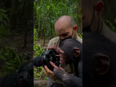 Elle analyse son shooting 📸 🦍