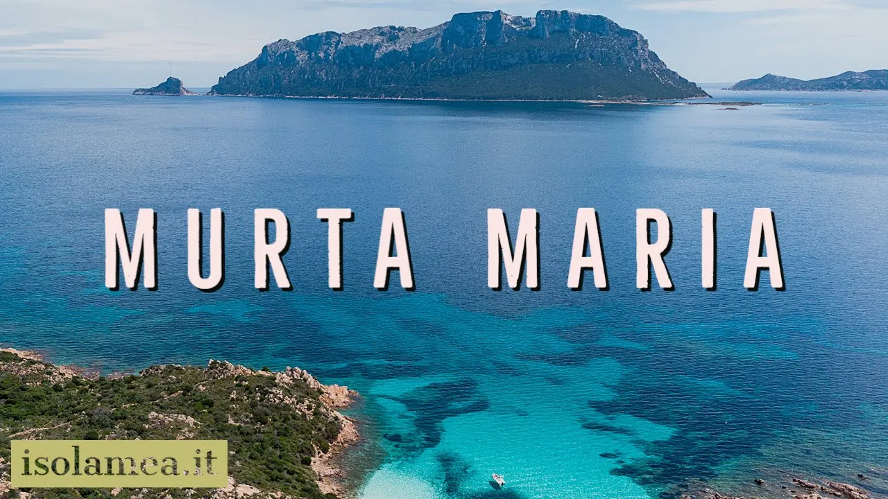 42 MURTA MARIA