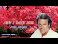 Download Lagu And I Love Her   Julio Iglesias〈Karaoke Track〉