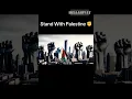 Download Lagu What Will It Take to Free Palestine?