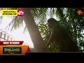 Download Lagu Moondru Mudichu - Best Scenes | 25 Nov 2024 | Tamil Serial | Sun TV