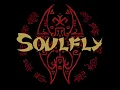 Soulfly - Conquer / Omen / Enslaved / Savages / Archangel / Ritual / Totem
