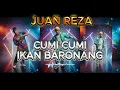 Lagu CUMI CUMI IKAN BARONANG OFFICIAL JUAN REZA - SPECIAL EDITION - Hmmm TV