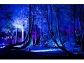 Download Lagu TEKKERKANE - WALDGEFLÜSTER AFTER SET 10.08.2014 [HARDTECHNO]