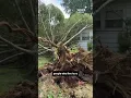 Strong winds and storms flip semi uproot trees and leave thousands without power in Lousville