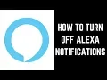 How to Turn Off Alexa Notifications