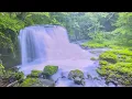 『朝顔』　折坂悠太