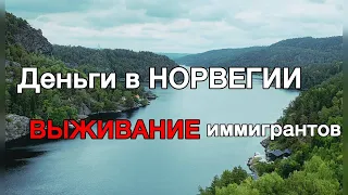 Высокие зарплаты, пустой кошелёк: жизнь иммигрантов в НОРВЕГИИ.