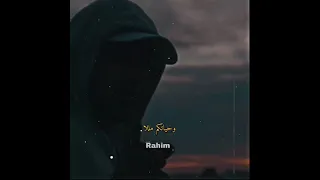 حياتكم ملالا  حياتكم ملالا