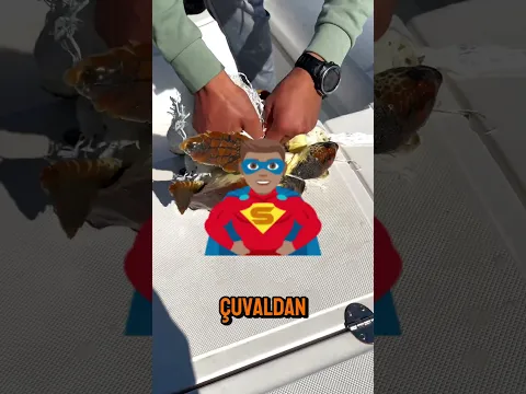 Denizin Süper Kahramanı 🦸‍♂️