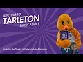 Transfer Week Applying to Tarleton - Expert Advice