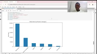 Python for Business Analytics Portfolio Reflection Data Cleaning Analysis Business Insights