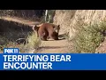 Woman faces off with bear on Southern California hiking trail