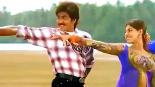o yavvana veena puvvula vaana video song pelli movie songs vadde naveen maheswari