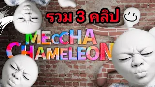 ผมแกล้งสตรีมเมอร์ใน Tiktok Meccha Chameleon 