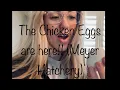 The Eggs are here unboxing and setting of Meyer hatchery eggs