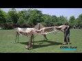 COOL Spot 11 x11 Pop Up Gazebo