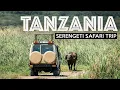 Download Lagu TANZANIA SAFARI | Exploring The Serengeti
