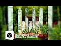 Download Lagu SaberZ x Driter5 - Huang (Official Audio)