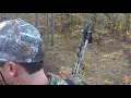 Doe Days of Georgia