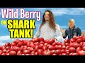 Natures Wild Berry on Shark Tank