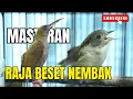 Download Lagu SUARA TEMBAKAN PIJANTUNG GUNUNG || FULL NYECREETTT MBESET NEMBAK DURASI PANJANG || GACOR DOR