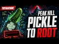 TryHackMe Free Room Peak Hill Walkthrough Python Pickle Exploit Root Privilege Escalation