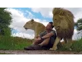 Download Lagu An Unbreakable Bond | The Lion Whisperer
