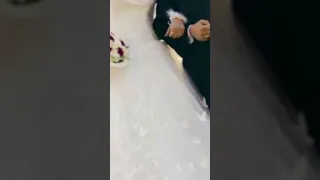 يا قلوب مشتاقة افراح بدون موسيقى 