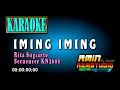 Download Lagu IMING IMING Rita Sugiarto [Karaoke]