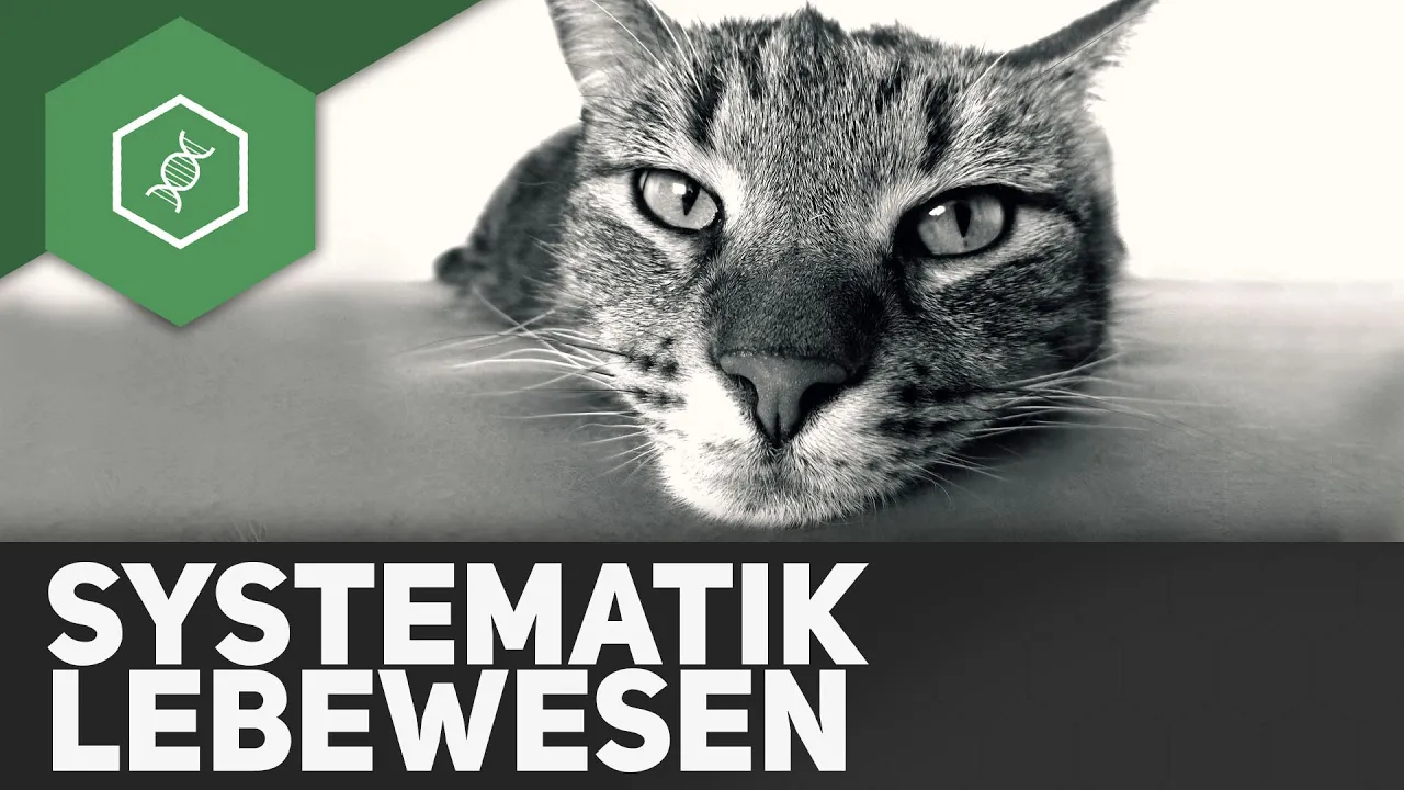 Was ist Systematik?! - Die raffinierte Einteilung der Lebewesen
