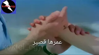 حالات واتس ليه كل حاجه حلوة عمرها قصير دندنها