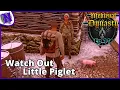 Where to Buy Pigs MEDIEVAL DYNASTY GAMEPLAY The Oxbow Ep11