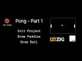 shri codes Pong with Zig and Raylib - Part 1 Draw the Paddles the Ball