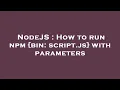 NodeJS How to run npm bin script js with parameters